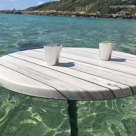 Studio Tahiti Vue Mer 圣弗朗索瓦 外观 照片