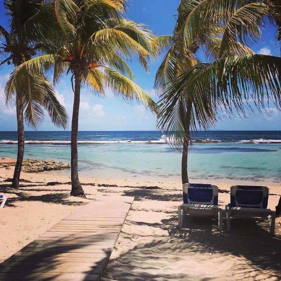 Studio Tahiti Vue Mer 圣弗朗索瓦 外观 照片